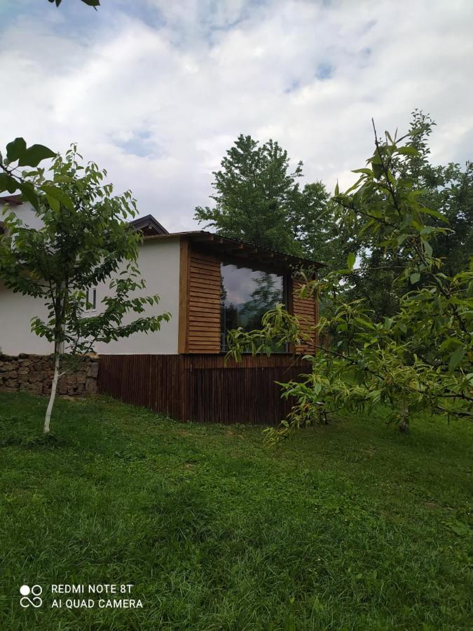 Lenilenii Bungalows Яйце Экстерьер фото